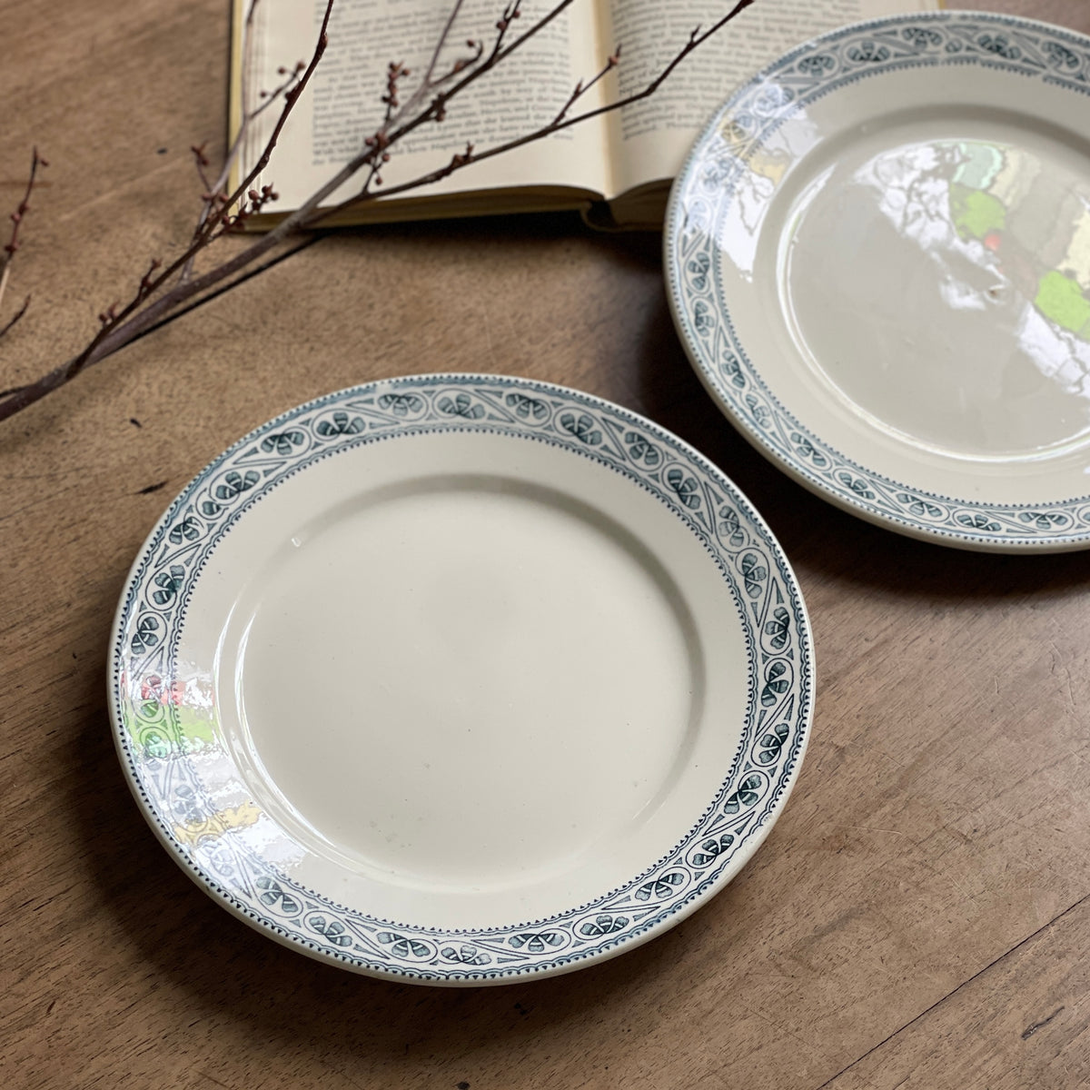 2枚あり！ショワジールロワ窯『CHAMPIGNY』平皿（直径24cm） フランス