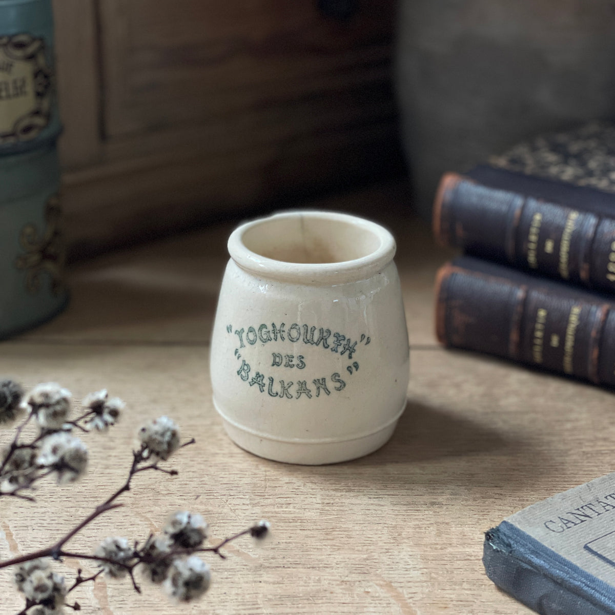 IMG_5867_46411631-323b-4ec0-