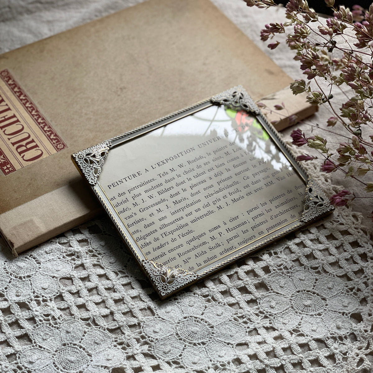 IMG_6200_1200x1200.jpg?v=