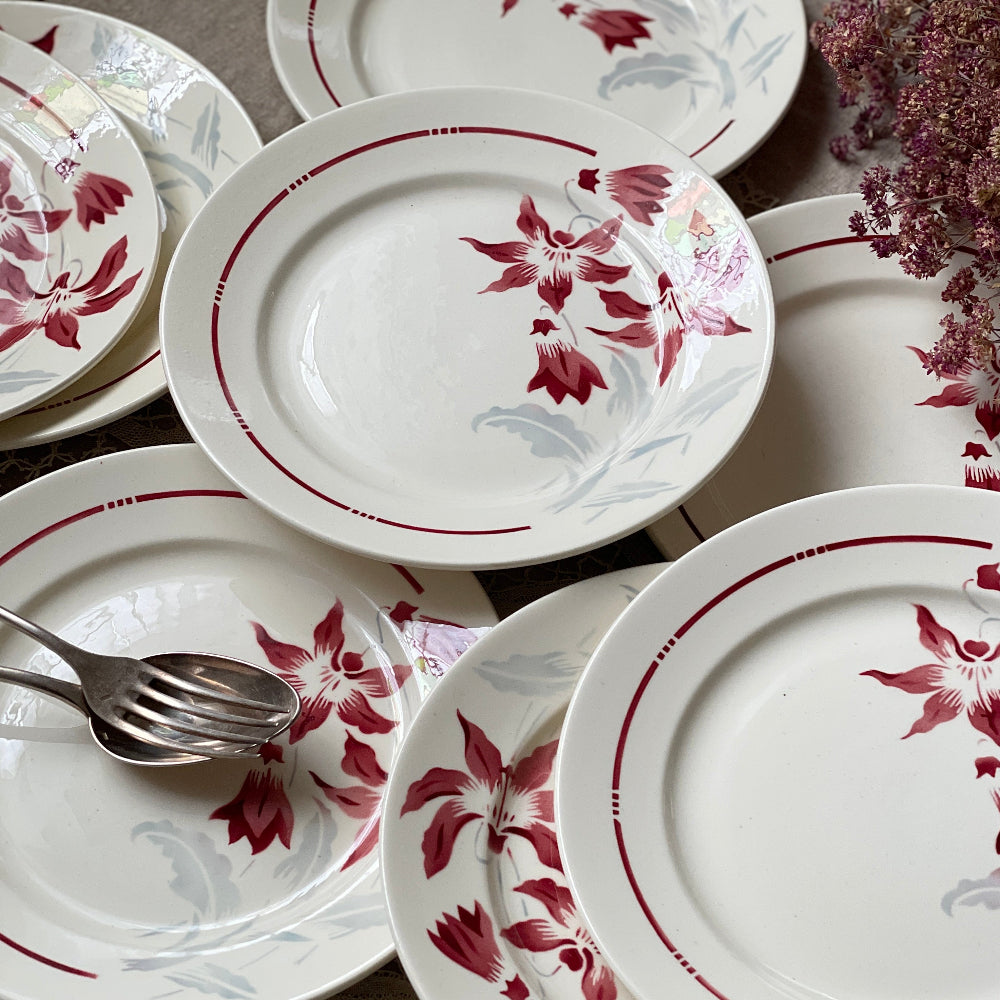 9枚あり！バドンヴィレー窯「ANNECY」平皿（直径22.5cm） フランス