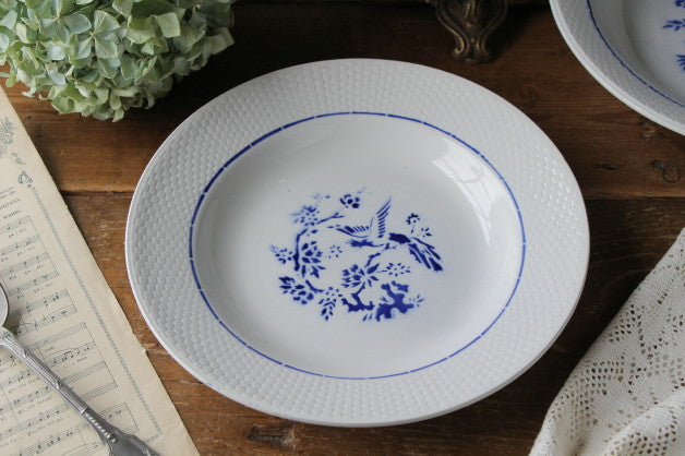 青い鳥が描かれたサンタマンスープ皿（器） フランスアンティーク食器