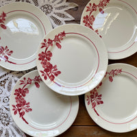 5枚あり！『ラファイエット』ステンシル平皿（直径22cm）　フランスアンティーク