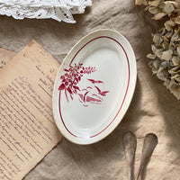 カモメ模様が可愛い赤ラヴィエ皿（21.5x14cm）　フランスアンティーク