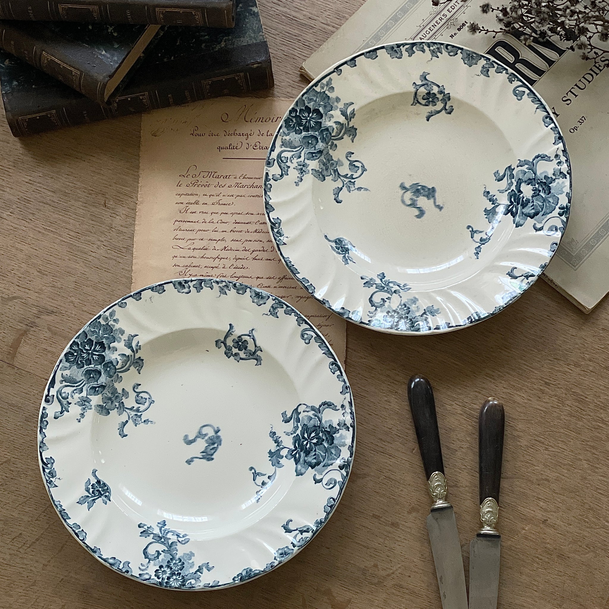 ２枚あり！LONGWY窯スープ皿（直径24cm）　フランスアンティーク