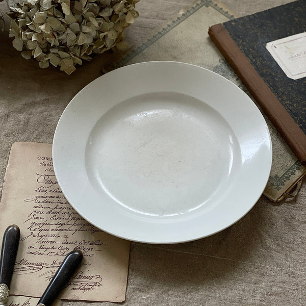 IMG_7205_3d21c70b-41d5-4d91-