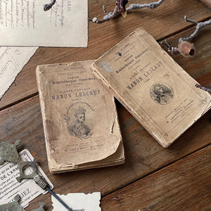 2冊あり！アンティーク感漂う洋書（14.5x9.5cm） フランス