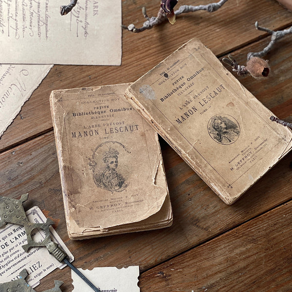 French 洋書 book フランスアンティーク イギリスアンティーク 2冊あり！アンティーク感漂う洋書（14.5x9.5cm） フランス