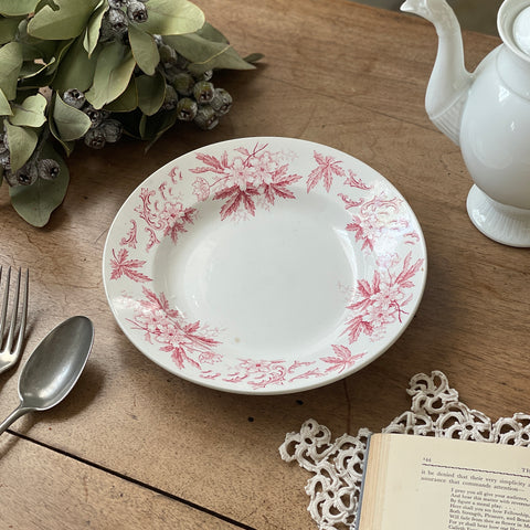 フランスアンティーク陶器プレート 陶器ポット フランスアンティーク shabby 陶器ポット（White） フランスアンティーク | OGISHIMA COFFEE Antiques