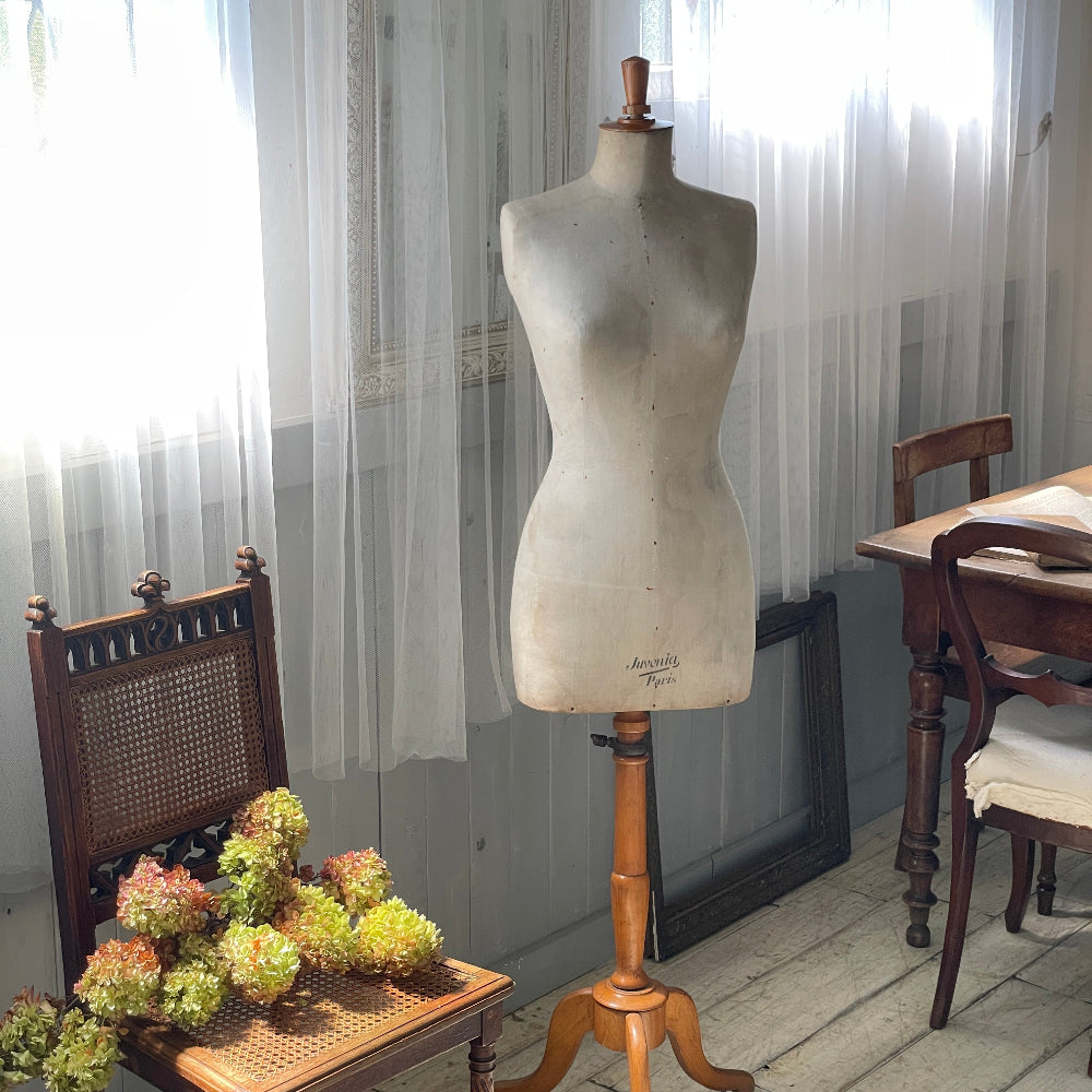 Juvenia Paris社製ショップ用トルソー　フランスアンティーク