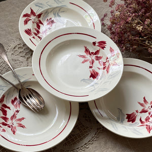 4枚あり！バドンヴィレー窯「ANNECY」スープ皿（直径22.5cm