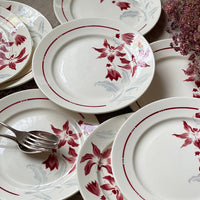 ９枚あり！バドンヴィレー窯「ANNECY」平皿（直径22.5cm）　フランスアンティーク