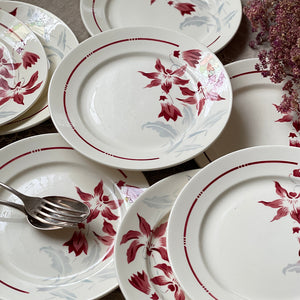 9枚あり！バドンヴィレー窯「ANNECY」平皿（直径22.5cm） フランス