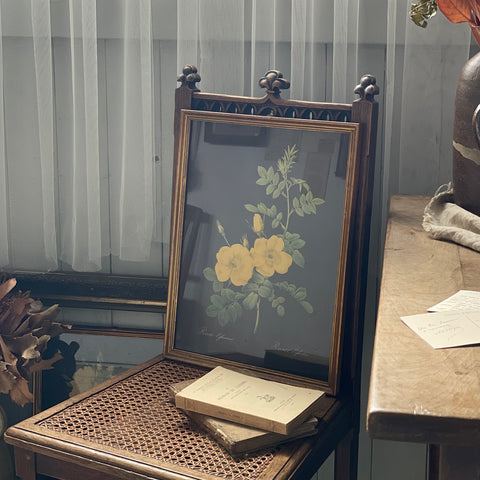 ルドゥーテ　バラのフレームRosa Eglanteria　フランスアンティーク