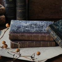 ２冊あり！ディスプレイで活躍してくれる洋書（1825-1845年）　フランスアンティーク雑貨