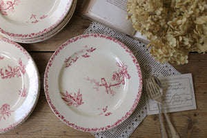2枚あり！ショワジールロワ窯ピンクの鳥模様が可愛い平皿（直径24cm）　フランスアンティーク食器