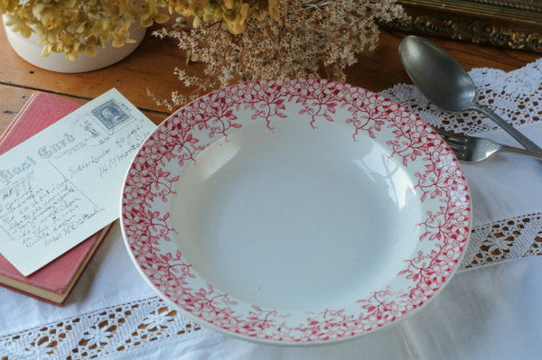 サルグミンヌ　CARINA スープ皿4枚セット サルグミンヌCARINA スープ皿4枚セット