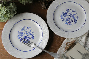 青い鳥が描かれたサンタマンディナープレート（皿）　フランスアンティーク食器
