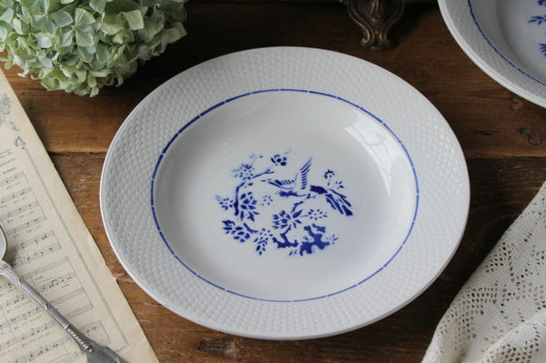 青い鳥が描かれたサンタマンスープ皿（器） フランスアンティーク