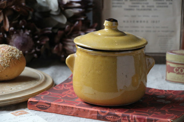 テリーヌポット フランスアンティーク ぽってり可愛い蓋つきのテリーヌポット フランスアンティーク陶器