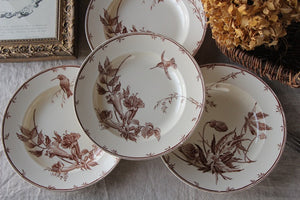 複数枚あり！ハチドリが描かれたジアン窯茶色の皿　フランスアンティーク食器